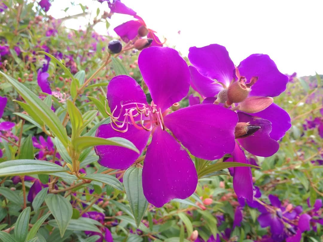 Tại sao bạn nên đi du lịch Minh Châu - Quan Lạn vào dịp 30/4, 1/5?