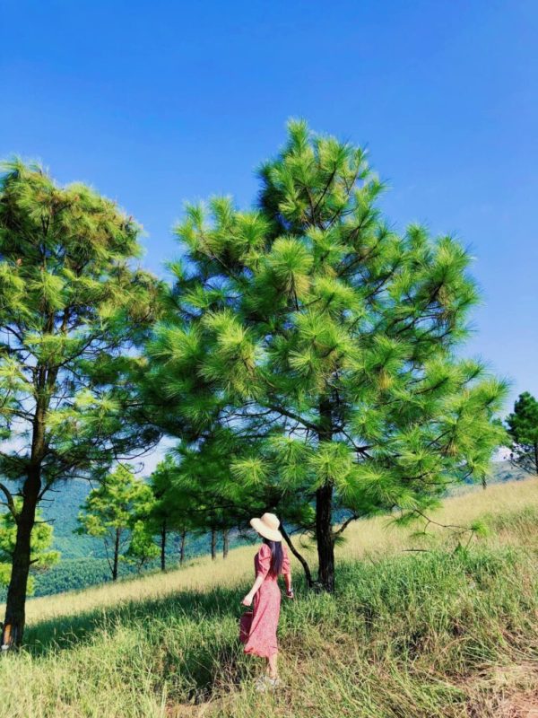 Đến Quảng Ninh đừng bỏ lỡ đỉnh Phượng Hoàng nhé!