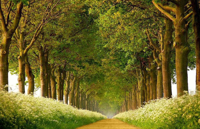 Du lịch Cô Tô - Top 7 địa điểm du lịch nổi tiếng nhất