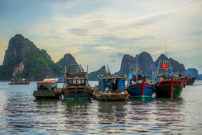 Top lý do bạn nên du lịch vịnh Hạ Long một lần trong đời