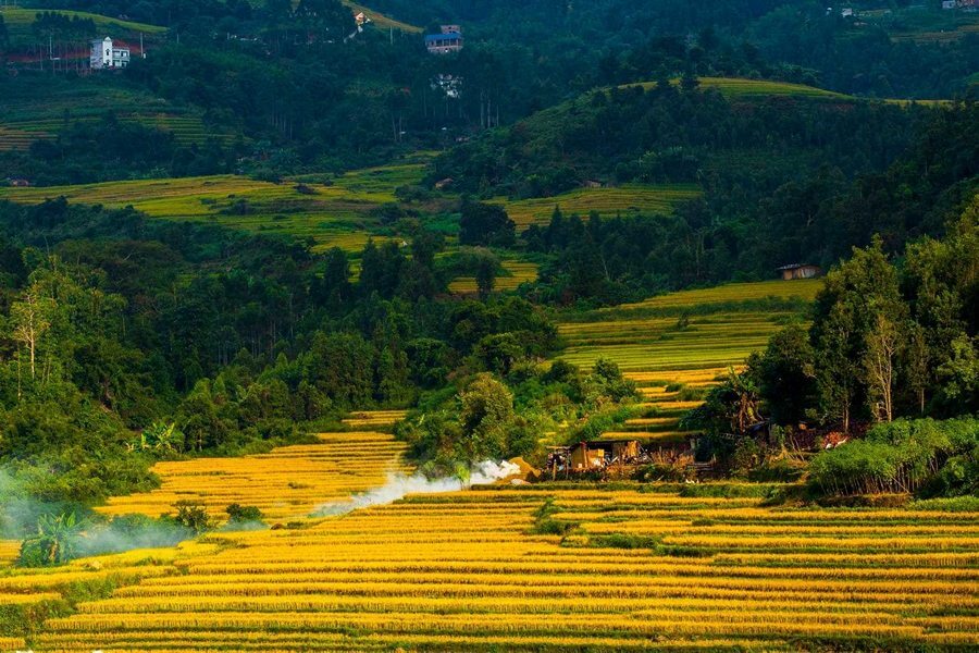 Bình Liêu mùa lúa chín – Vẻ đẹp thơ mộng nao nức lòng người