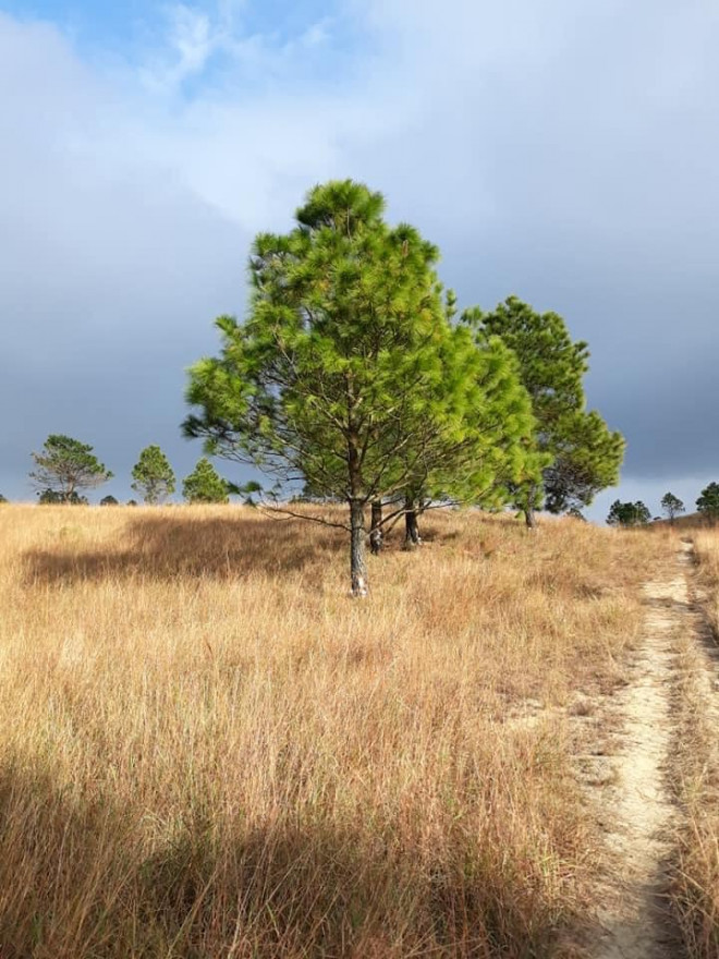 Chinh phục Đỉnh Phượng Hoàng Quảng Ninh