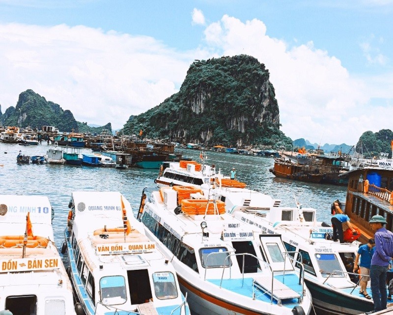 Gợi ý lịch trình du lịch Cô Tô 3 ngày 2 đêm