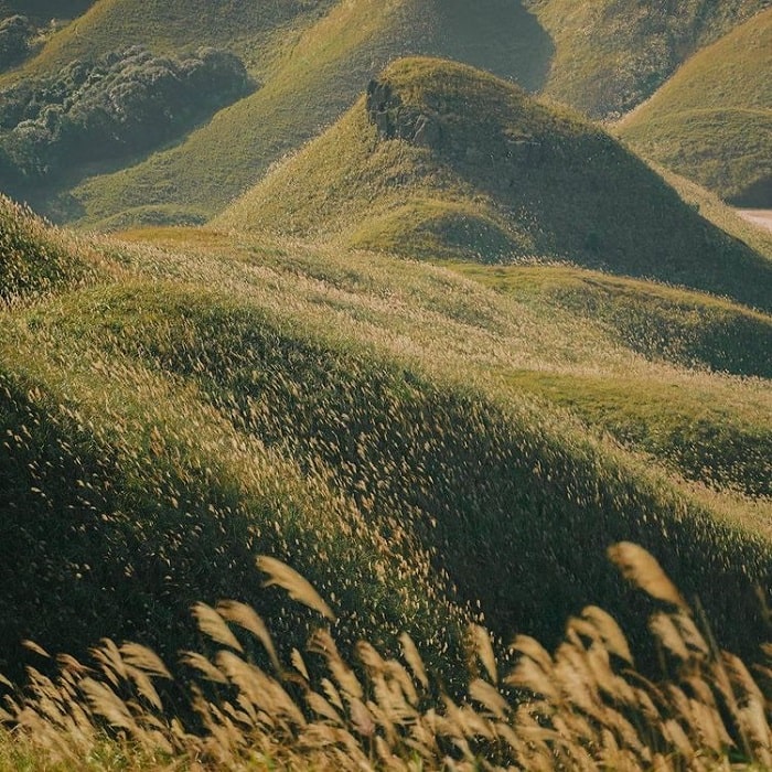 Kinh nghiệm du lịch Bình Liêu cực chi tiết