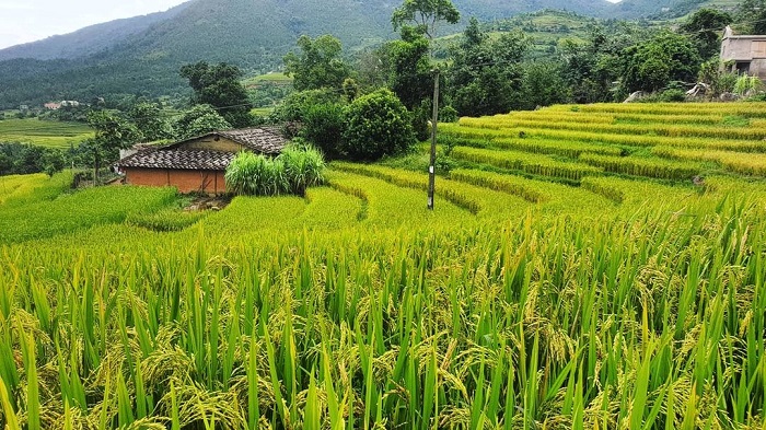 Kinh nghiệm du lịch Bình Liêu cực chi tiết