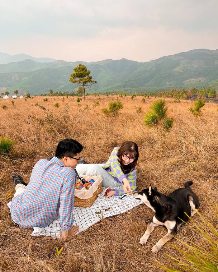 Những địa điểm dã ngoại siêu đẹp ở Quảng Ninh